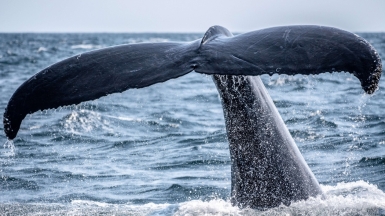 Фото: richard sagredo, unsplash.com Фото: richard sagredo, unsplash.com