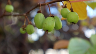 Фото: dubna30 on Visualhunt