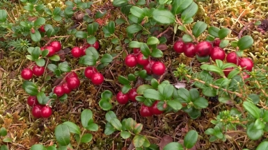 Фото из архива Клуба