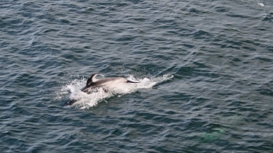 Фото из архива Клуба