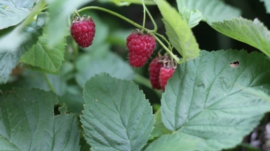 Фото Marina Yalanska on Unsplash