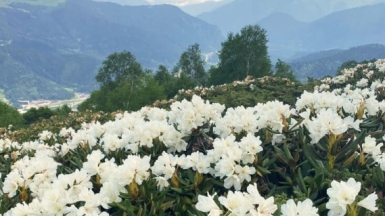 Фото нашей Странницы Светланы Ведерниковой