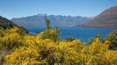 Фото нашей Странницы Татьяны Руновой