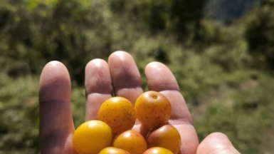 Фото наших Странников