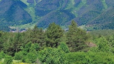 Фото нашего гида Галины Жигулиной