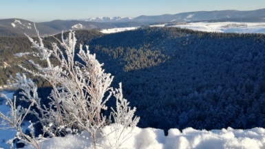 Фото из архива Клуба