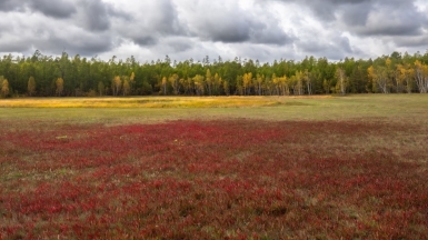 Фото нашего гида Михаила Верёвченко