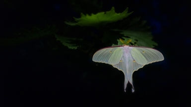 Фото: Евгений Табалыкин