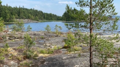 Фото из архива Клуба