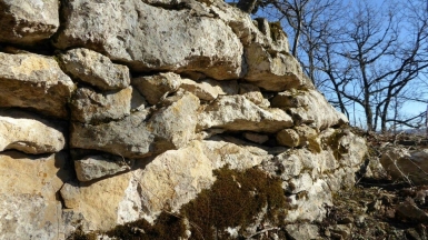 Фото нашего гида Елены Кузура