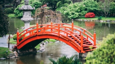 Фото: Geronimo Giqueaux, unsplash.com