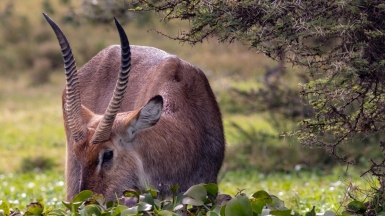 Фото: Neil and Zulma Scott, unsplash.com