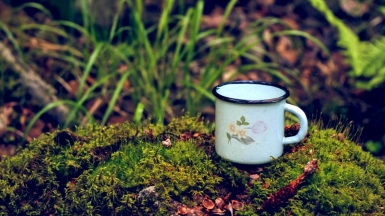 Фото: Anna Zakharova, unsplash.com