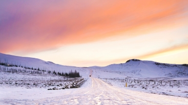 Фото: Esse Chua, unsplash.com