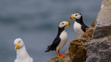 Фото из архива Клуба