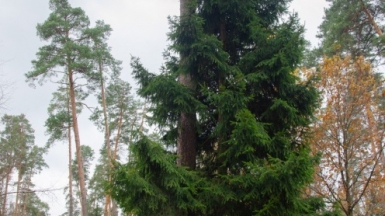 Фото наших Странников