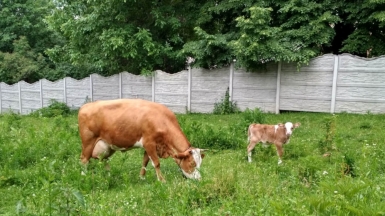 Фото нашего гида Анны Шереметьевой