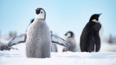 Фото из архива Клуба