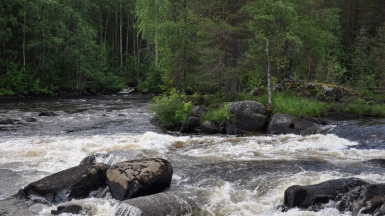 Фото нашего гида Алексея Петровского