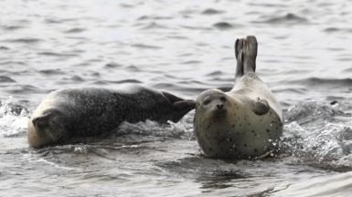 Фото из архива Клуба