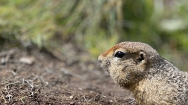 Фото наших Странников