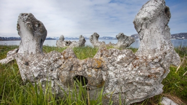 Фото из архива Клуба