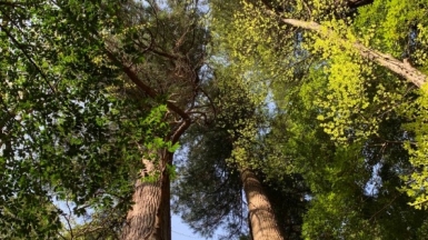 Фото наших Странников