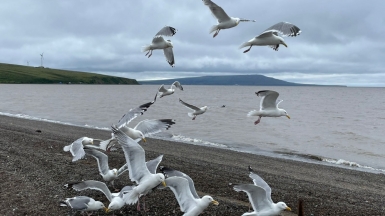 Фото из архива Клуба