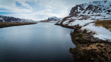 Max Dawncat on Visual Hunt