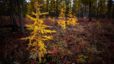 Фото нашего гида Михаила Верёвченко