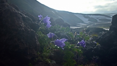 Фото нашей Странницы Кравченко Натальи