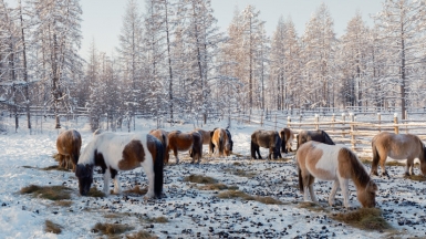 Фото: Антон Г. www.uniq.photo