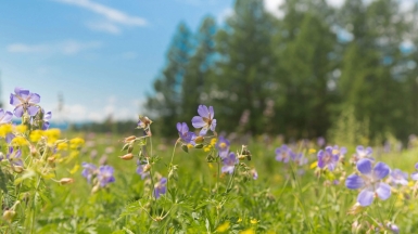 Фото нашего Странника Павла Кузьмина