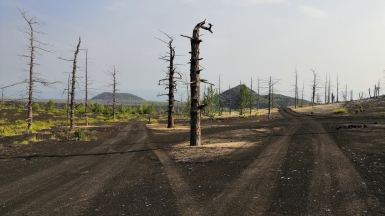 Фото нашей Странницы Парцей Татьяны