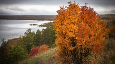 Фото нашего гида Михаила Верёвченко