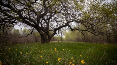 Фото нашего гида Михаила Верёвченко