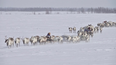 Фото нашего гида Дмитрия Эскина