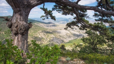 Фото Михаила Верёвченко