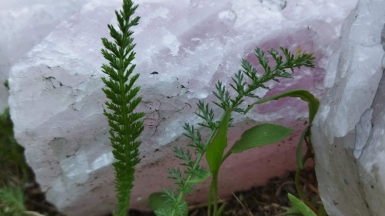 Фото нашего гида Галины Шелудько