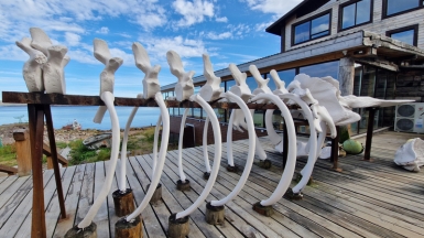 Фото нашей Странницы Анастасии Ивановой