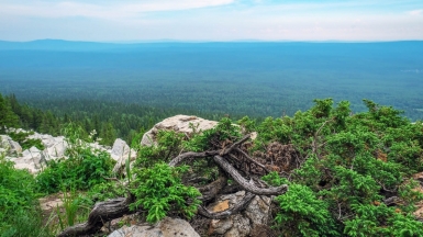 Фото нашей Странницы Марины Шумаковой
