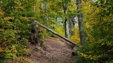 Фото Mateusz Bajdak для Unsplash.com