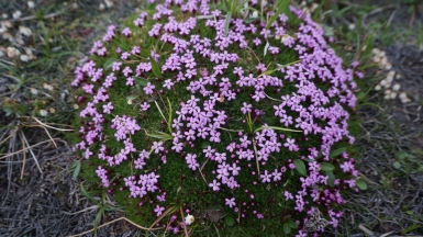 Фото наших Странников