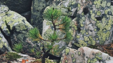 Фото гида Марины Акиловой-Елиной