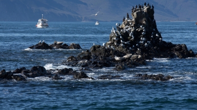 Фото из архива Клуба