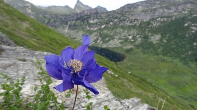 Фото нашей Странница Веры Елькиной