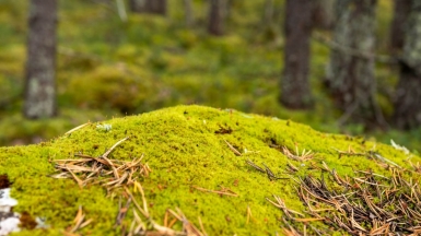 Фото нашего Странника Дмитрия Ксенофонтова