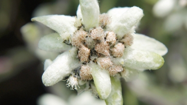 Из архива Клуба