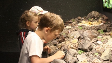 Фото музея «Вулканариум»