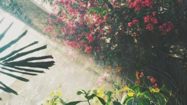 Фото: Florian GIORGIO, unsplash.com